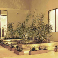 <img class='cat_full_img' src='https://rbkt.org/b/f3/30/0d/f3300d15e2ddea46103f955f4d8ac733.jpg' />