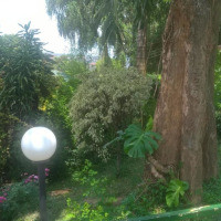 <img class='cat_full_img' src='https://rbkt.org/b/fb/fa/bf/fbfabfe1a895ddb8ec80bdf683c01ebf.jpg' />