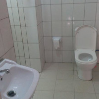 <img class='cat_full_img' src='https://rbkt.org/b/d7/1f/89/d71f8931d87a9aee2515c8c246d73428.jpg' />