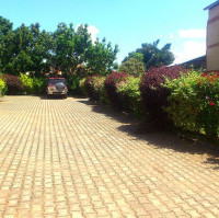 <img class='cat_full_img' src='https://rbkt.org/b/05/54/6c/05546c85fd8f83f6f6d5ff1b3a517534.jpg' />