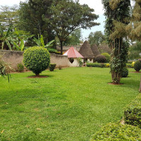 <img class='cat_full_img' src='https://rbkt.org/b/51/d2/bd/51d2bd09320bfd604dd29eb2b5359d92.jpg' />