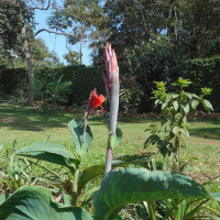 <img class='cat_full_img' src='https://rbkt.org/b/63/1c/97/631c9722bf1cf509d923eb6118f40d25.jpg' />