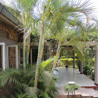 <img class='cat_full_img' src='https://rbkt.org/b/05/1f/cc/051fcc6ca81af784927c7e4a30c4e36b.jpg' />