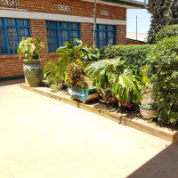 <img class='cat_full_img' src='https://rbkt.org/b/c8/9a/b3/c89ab374c78de59254cbef35cea006f4.jpg' />