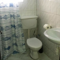 <img class='cat_full_img' src='https://rbkt.org/b/50/48/f6/5048f632695aa61a810b5616e9817646.jpg' />