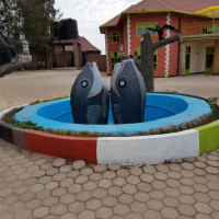 <img class='cat_full_img' src='https://rbkt.org/b/e2/1a/8c/e21a8c89b4e17959a84fc5c62ea163e1.jpg' />