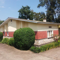 <img class='cat_full_img' src='https://rbkt.org/b/4f/f2/57/4ff2575d2f13275808a57c2638d017ab.jpg' />