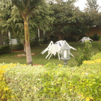 <img class='cat_full_img' src='https://rbkt.org/b/75/d0/c9/75d0c91f3f26d0e21e99715cf214bce1.jpg' />