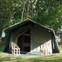 <img class='cat_full_img' src='https://rbkt.org/b/dd/f7/bc/ddf7bce3502f1a76b5250ad3045a68ad.jpg' />