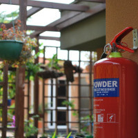 <img class='cat_full_img' src='https://rbkt.org/b/d0/be/45/d0be45935c5ac1f98ed75cd3b648e581.jpg' />