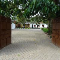 <img class='cat_full_img' src='https://rbkt.org/b/f3/7f/cd/f37fcded686b443d4d82108db1adbddf.jpg' />