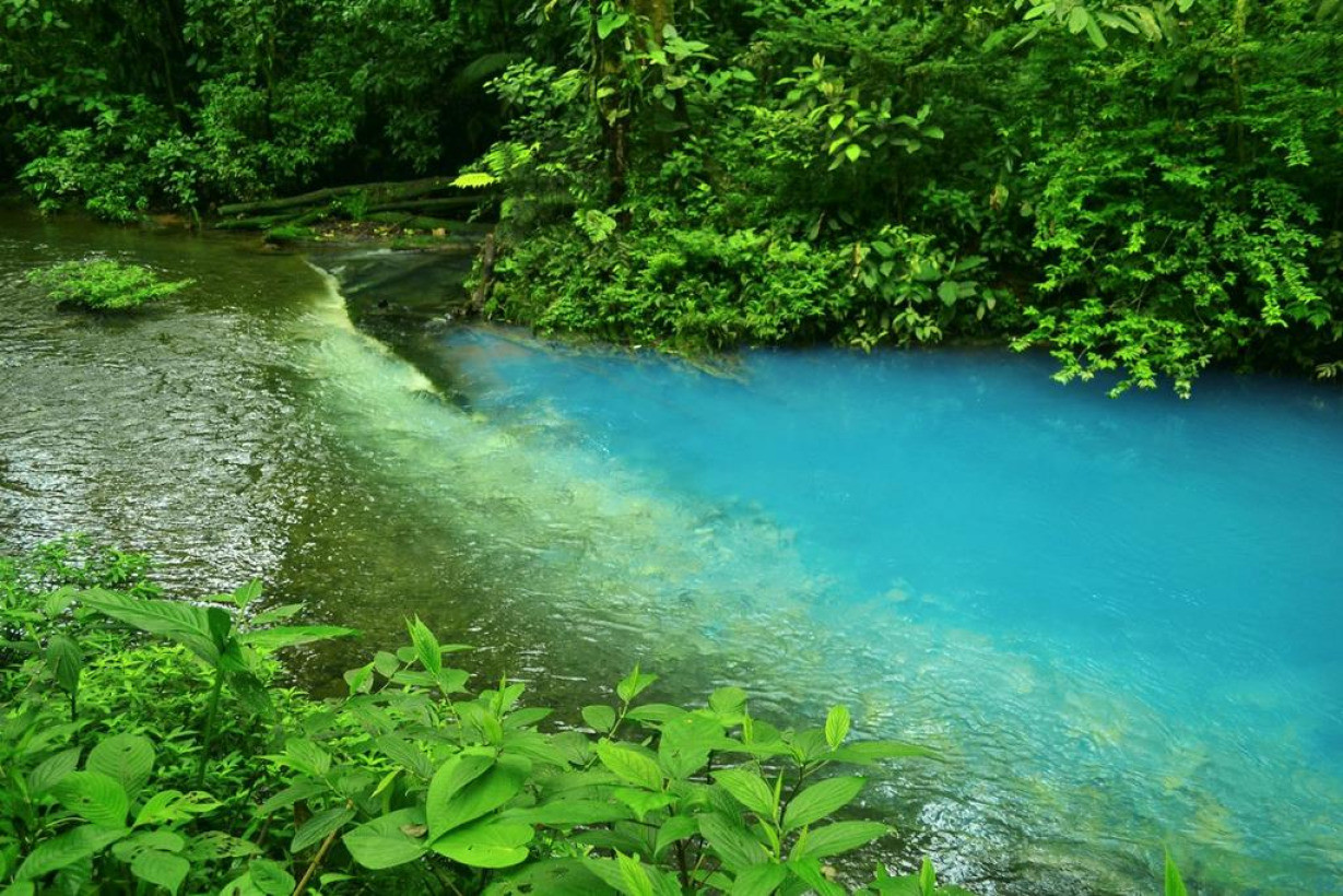 Голубая река. Селеста-река. Голубая река фото. Синяя река Селеста.