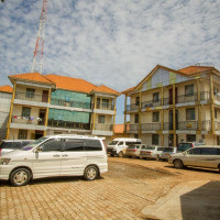 <img class='cat_full_img' src='https://rbkt.org/b/5f/1d/80/5f1d8040c50da7b79d63c9df248d6800.jpg' />