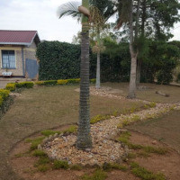 <img class='cat_full_img' src='https://rbkt.org/b/b4/86/3c/b4863c489550a01965e360479734acad.jpg' />