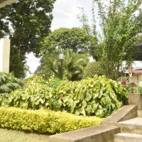 <img class='cat_full_img' src='https://rbkt.org/b/77/f5/93/77f5935d7f55c54ad7d8d5e42ad9df36.jpg' />