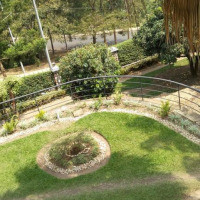 <img class='cat_full_img' src='https://rbkt.org/b/e5/9b/6f/e59b6f017fefe4634336280388ca034e.jpg' />