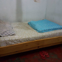 <img class='cat_full_img' src='https://rbkt.org/b/81/f6/50/81f65089b0e585c51213e6e5ddc25f97.jpg' />