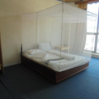 <img class='cat_full_img' src='https://rbkt.org/b/fd/d7/11/fdd711057a219be49710df26e43d114c.jpg' />