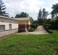 <img class='cat_full_img' src='https://rbkt.org/b/66/47/c5/6647c5174f52ed580e875f8566170a1d.jpg' />