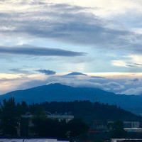 <img class='cat_full_img' src='https://rbkt.org/b/d5/db/de/d5dbde5406ef99f2943d2ed81eb50f36.jpg' />