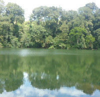 <img class='cat_full_img' src='https://rbkt.org/b/7d/e5/d5/7de5d5b520146dc535acb907184e75d0.jpg' />