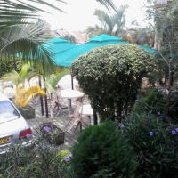 <img class='cat_full_img' src='https://rbkt.org/b/f6/fb/68/f6fb68864b3e0e37bd3e51eac37a1336.jpg' />