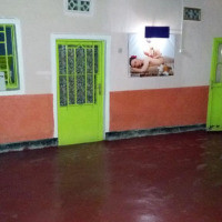 <img class='cat_full_img' src='https://rbkt.org/b/f3/8c/68/f38c682c82fb5425ceeb5c35f2a44299.jpg' />