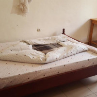 <img class='cat_full_img' src='https://rbkt.org/b/5c/b1/7c/5cb17c149d97e61e6461801a0f1e8666.jpg' />