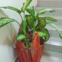 <img class='cat_full_img' src='https://rbkt.org/b/2d/0f/2c/2d0f2ce12b9649a4d958792611db68ed.jpg' />