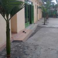 <img class='cat_full_img' src='https://rbkt.org/b/c4/6c/53/c46c53ec39bc57f756530d674eb56b12.jpg' />