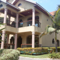 <img class='cat_full_img' src='https://rbkt.org/b/c0/e8/68/c0e8687f405f7e1dc1cf16040c27abcd.jpg' />