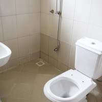 <img class='cat_full_img' src='https://rbkt.org/b/a4/6b/91/a46b916abcb71aedbe449a61cf00b4ce.jpg' />