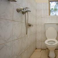 <img class='cat_full_img' src='https://rbkt.org/b/c1/21/41/c1214122b5827f36dc235d5d5a3bfda2.jpg' />