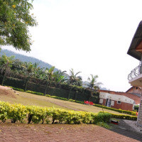 <img class='cat_full_img' src='https://rbkt.org/b/15/e4/d1/15e4d15819e358f7eeeb3171e1bdc391.jpg' />