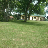 <img class='cat_full_img' src='https://rbkt.org/b/91/b5/f0/91b5f0e12d47969a8e75c515510fc228.jpg' />