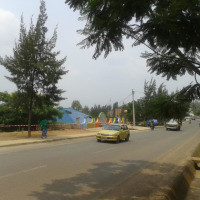 <img class='cat_full_img' src='https://rbkt.org/b/ad/2e/39/ad2e3948b570e1e7061bd4898ba7ab33.jpg' />