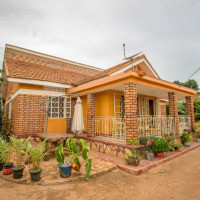 <img class='cat_full_img' src='https://rbkt.org/b/20/8e/17/208e175278b8c6ae9a45183cf4f0b11e.jpg' />