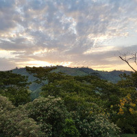 <img class='cat_full_img' src='https://rbkt.org/b/48/f5/0a/48f50a2d2d8914d7bdf4eba620f77d7f.jpg' />