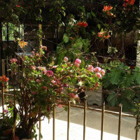 <img class='cat_full_img' src='https://rbkt.org/b/ad/1e/c6/ad1ec678ee95f4d429a5082272c65a99.jpg' />