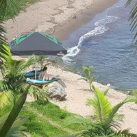 <img class='cat_full_img' src='https://rbkt.org/b/bd/69/3a/bd693a4cfba80b35dd7855d808361902.jpg' />