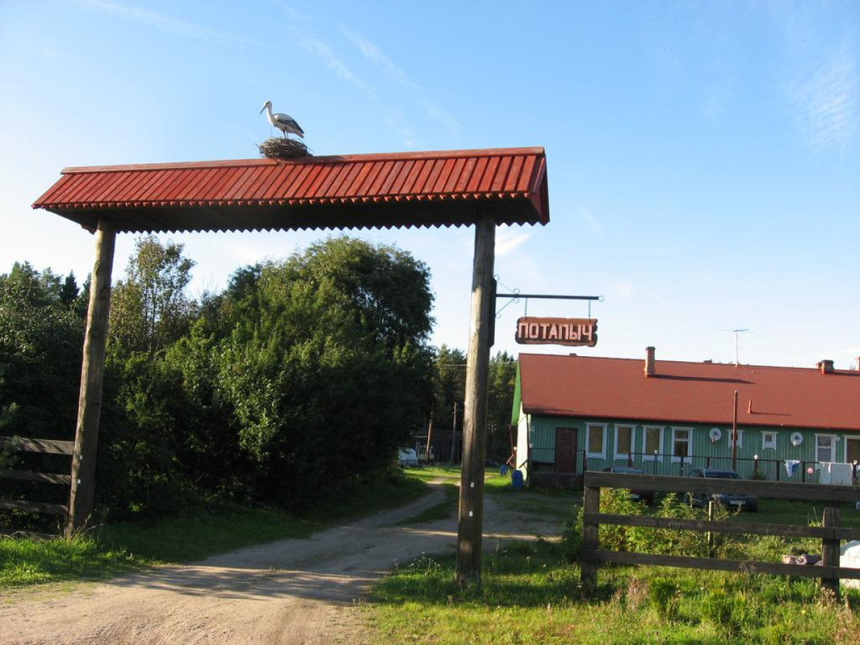 пицца потапыч меню в белгороде фото 81