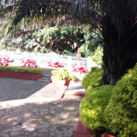 <img class='cat_full_img' src='https://rbkt.org/b/66/36/ab/6636abac3ac7c5751234030eb3eed279.jpg' />