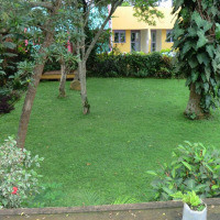 <img class='cat_full_img' src='https://rbkt.org/b/6b/31/c5/6b31c582766ddc770219fbdacbaea815.jpg' />