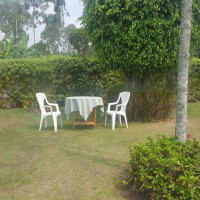 <img class='cat_full_img' src='https://rbkt.org/b/d5/25/20/d52520c0e3ffde10f3c97ad4d8ef5c61.jpg' />