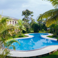 <img class='cat_full_img' src='https://rbkt.org/b/1d/3d/cf/1d3dcfe9fe23aaac909524639a6e5469.jpg' />