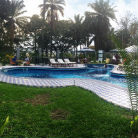 <img class='cat_full_img' src='https://rbkt.org/b/44/3d/4d/443d4d31f4413ce5b15e01c657f37db4.jpg' />