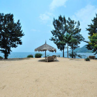 <img class='cat_full_img' src='https://rbkt.org/b/25/53/79/25537944b6c32222a7f3b9e82e880ed0.jpg' />