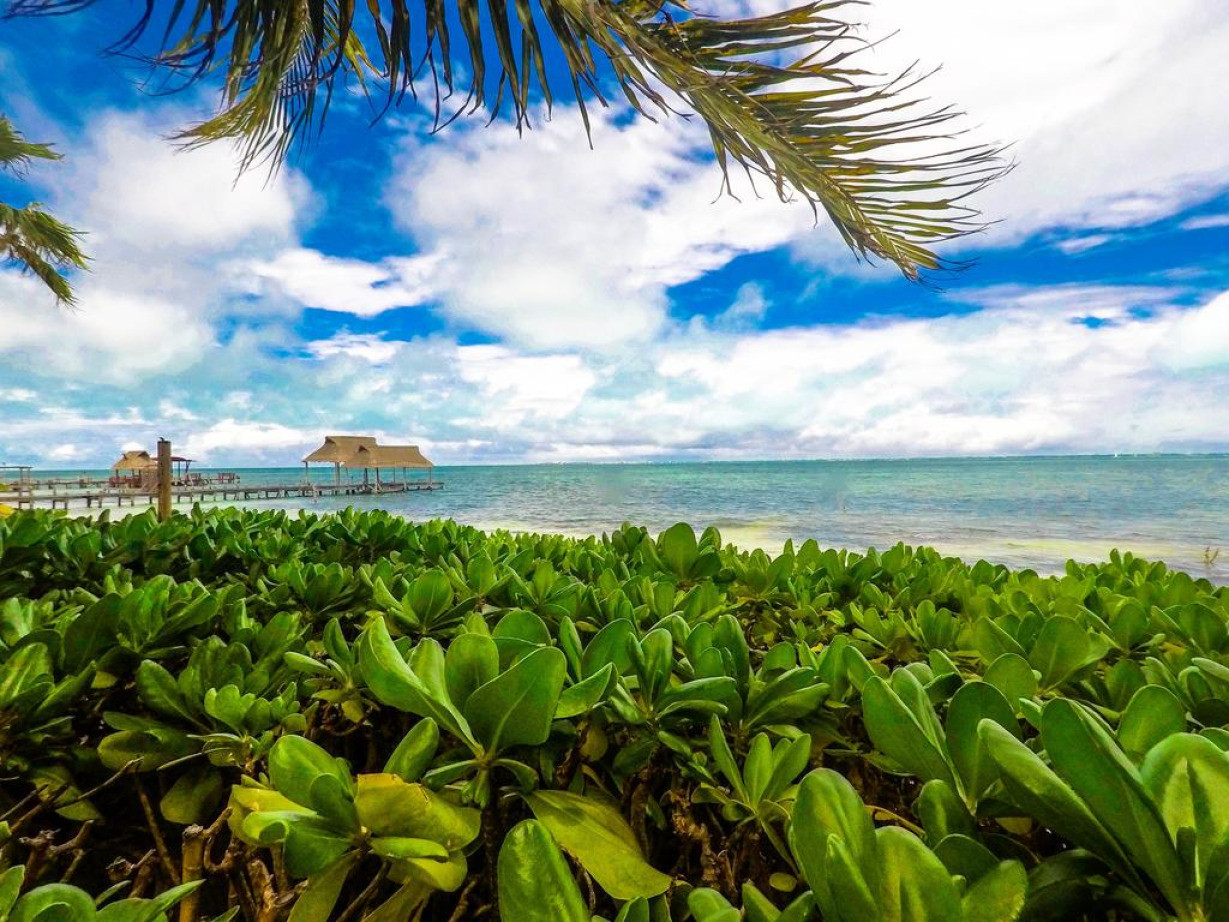 Mar caribe. Bungalow frente al Mar carretera a Punta Sam Quintas del Mar 7a, Канкун, 77520, Мексика. Playa Punta Sam. Пляж на carretera a Punta Sam.