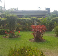 <img class='cat_full_img' src='https://rbkt.org/b/c6/6c/a3/c66ca3a71102ef461cef5d825256c613.jpg' />