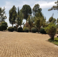 <img class='cat_full_img' src='https://rbkt.org/b/1a/72/c8/1a72c8979a515a129402679e3fecf038.jpg' />